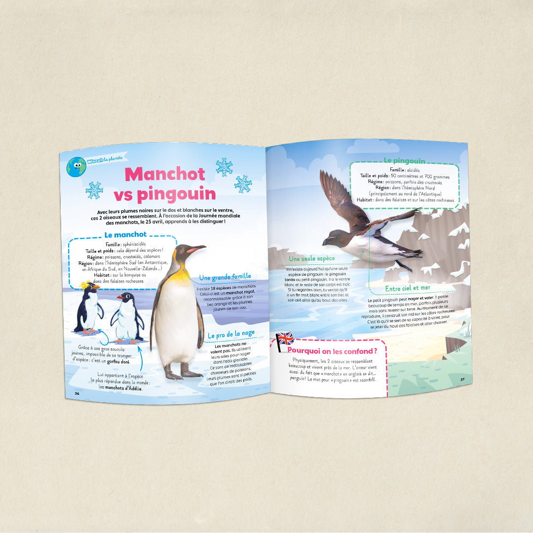 Les fleurs des champs