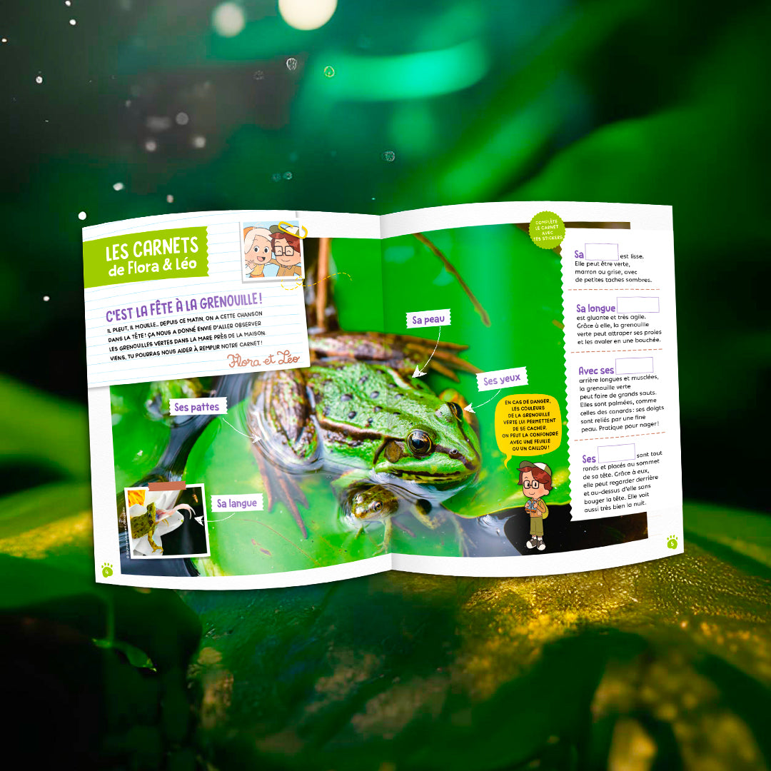 Les grenouilles vertes