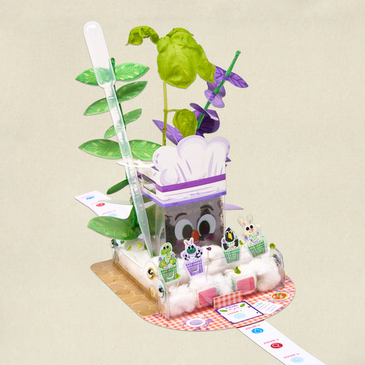 Les plantes aromatiques