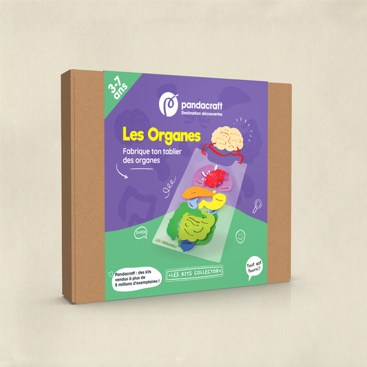 Les Organes
